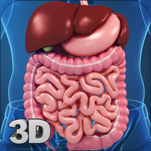My Digestive System Anatomy My Digestive System Anatomy